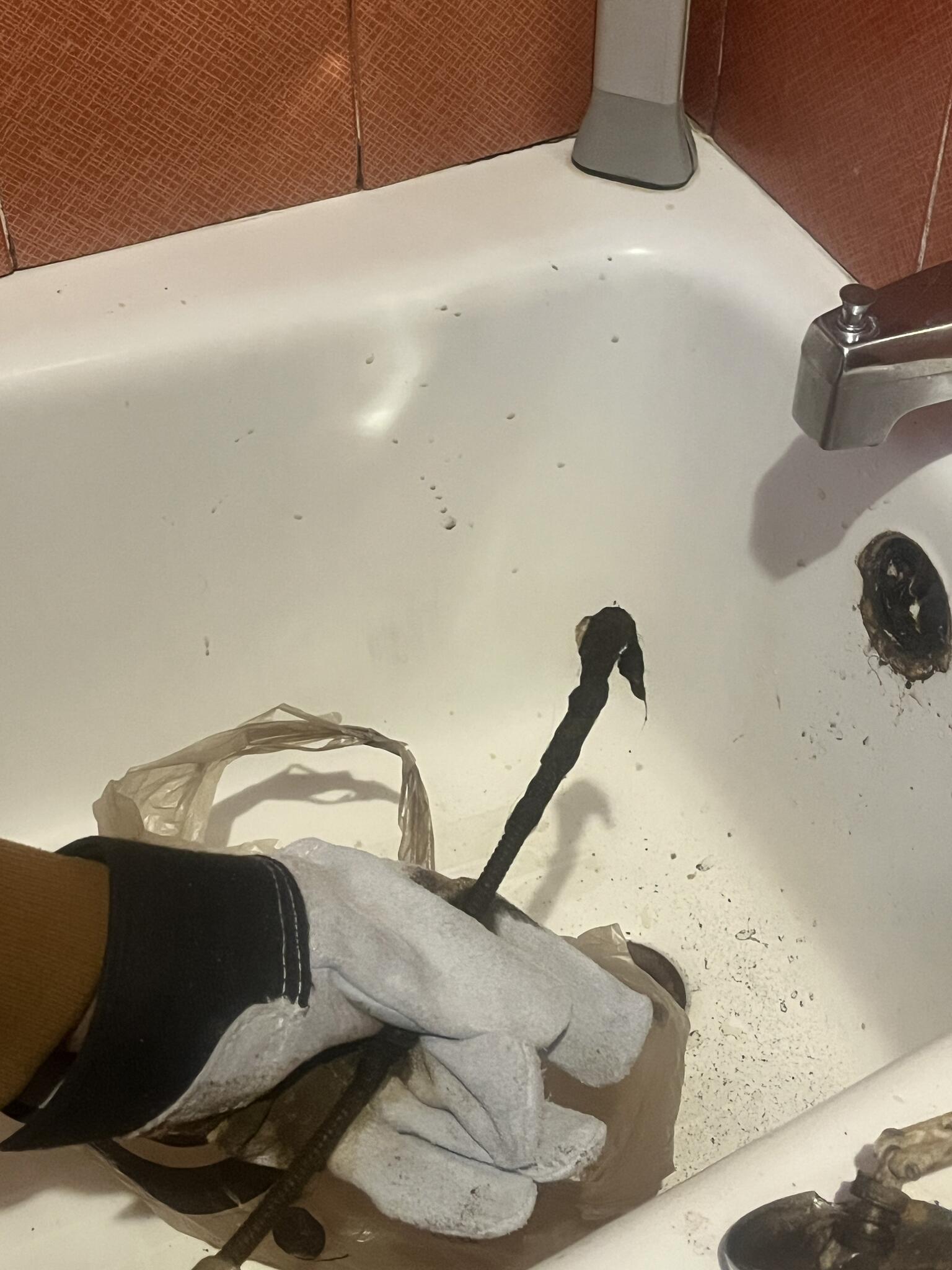 Bathtub Drain Cleaning, view 3